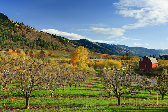 Hood River Gorge Barn