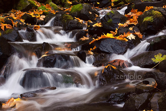 Starvation Creek