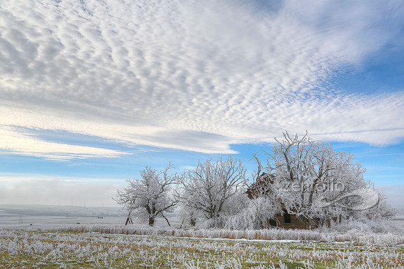 Icy Morning Landscape