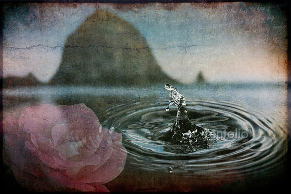 Love Lost