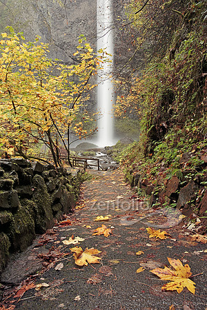 Gorge