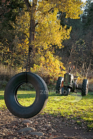 Hood River Tire Swing