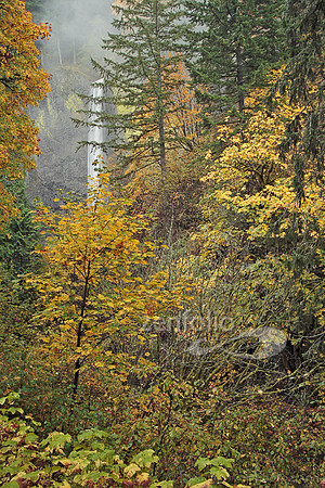 Gorge 4